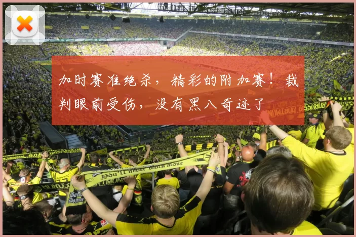 加时赛准绝杀，精彩的附加赛！裁判眼前受伤，没有黑八奇迹了